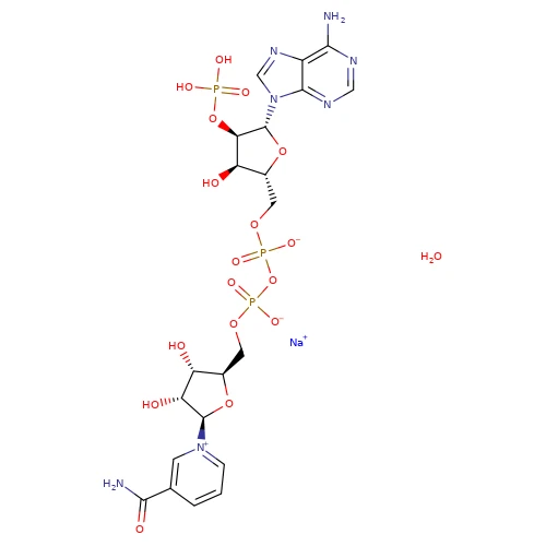 CAS:1184-16-3|B-Nicotinamide Adenine Dinucleotide فاسفیٹ سوڈیم نمک