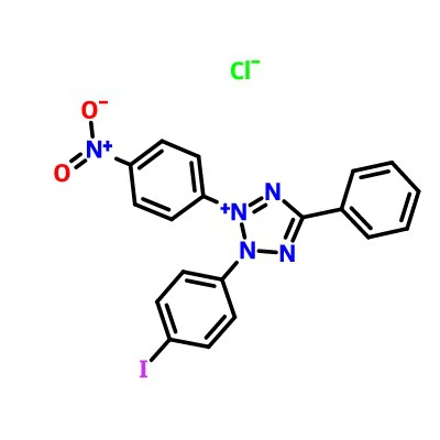 CAS:146-68-9|Iodonitrotetrazolium کلورائیڈ